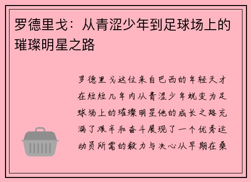 罗德里戈：从青涩少年到足球场上的璀璨明星之路