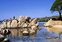 南宫体育-德约科维奇连续十场比赛得分超过比赛规则变更，掘金不断突破！全场沸腾不已(德约最新消息今天比赛)